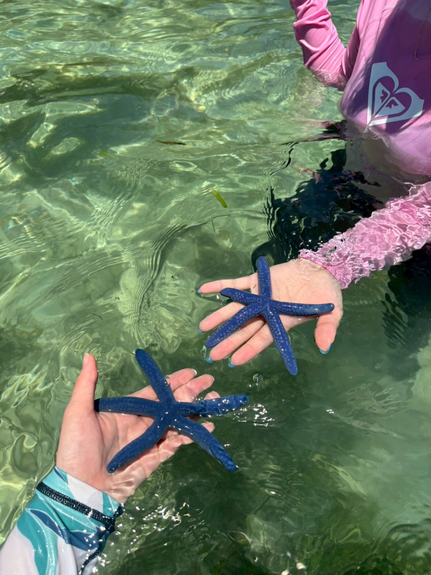 Cebu & Island Hopping 2026 — 029