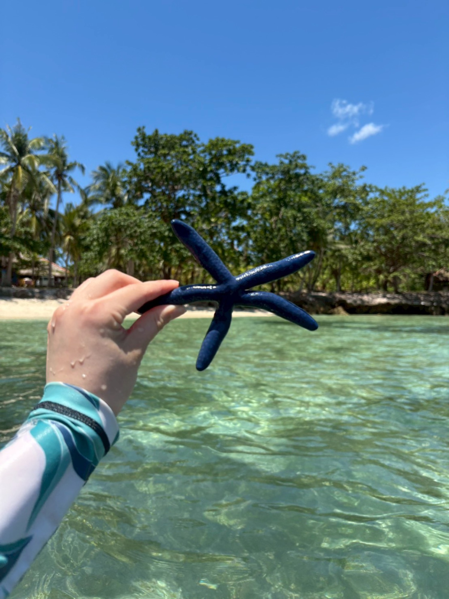 Cebu & Island Hopping 2026 — 031
