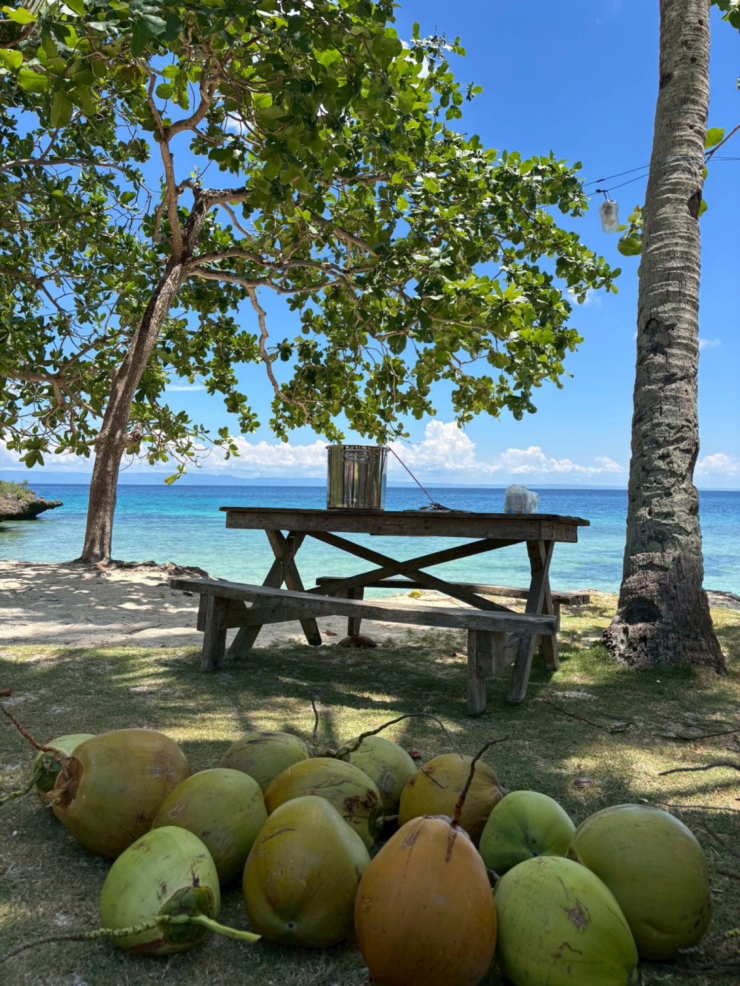 Cebu & Island Hopping 2026 — 044